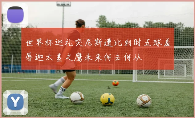 世界杯巡礼突尼斯遭比利时五球羞辱迦太基之鹰未来何去何从