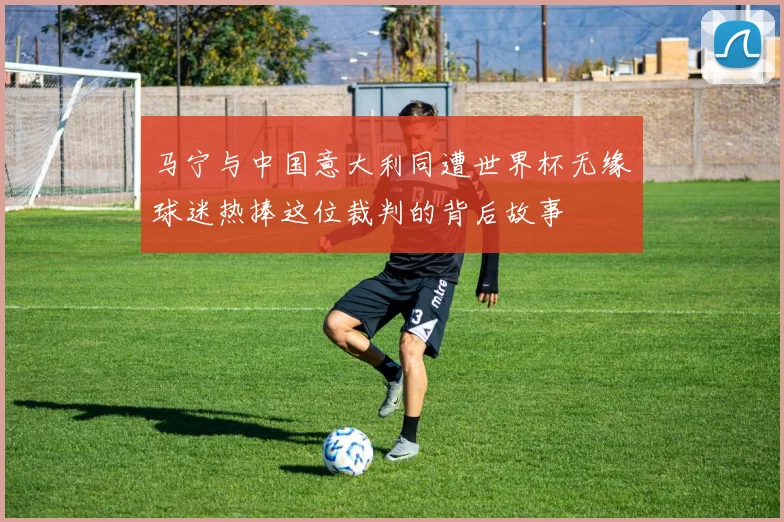 马宁与中国意大利同遭世界杯无缘球迷热捧这位裁判的背后故事